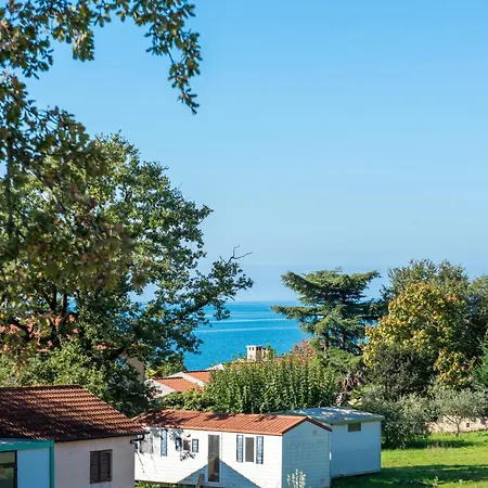 Quercus Village Penthouse With Jacuzzi Appartement *