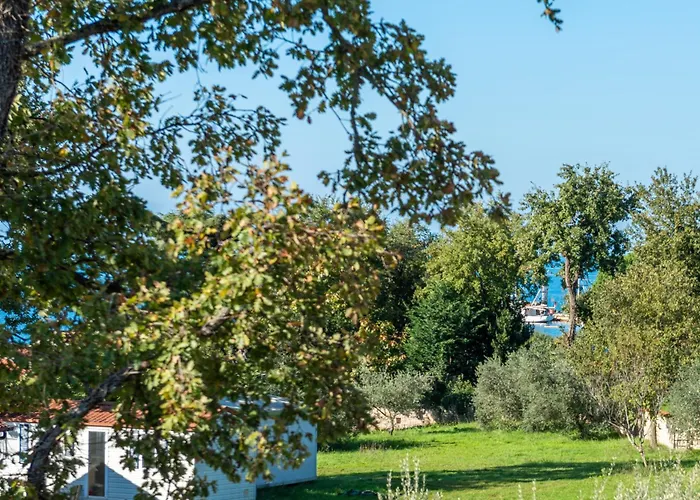 Quercus Village Penthouse With Jacuzzi